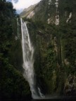 Milford Sound Waterfalls.JPG (42 KB)